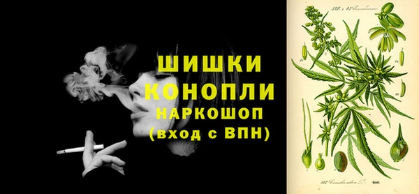 сатива Майский