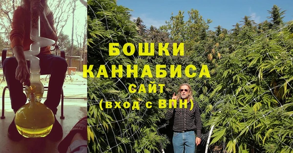 сатива Майский