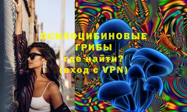 спайс Магадан