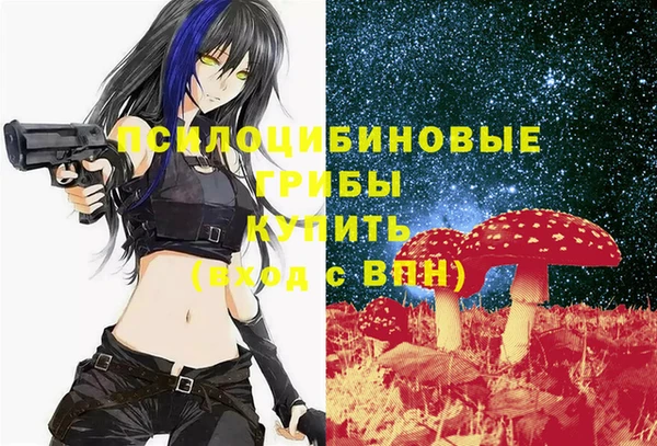 спайс Магас