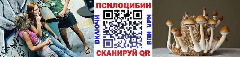 Купить  Минусинск  Галлюциногенные грибы GOLDEN TEACHER 